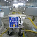 DSCN0135 copia (Small)