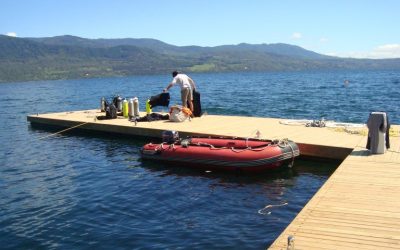 DSC01071 copia (Small)