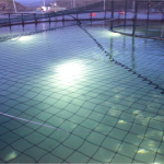 haluro foto2 (Small)